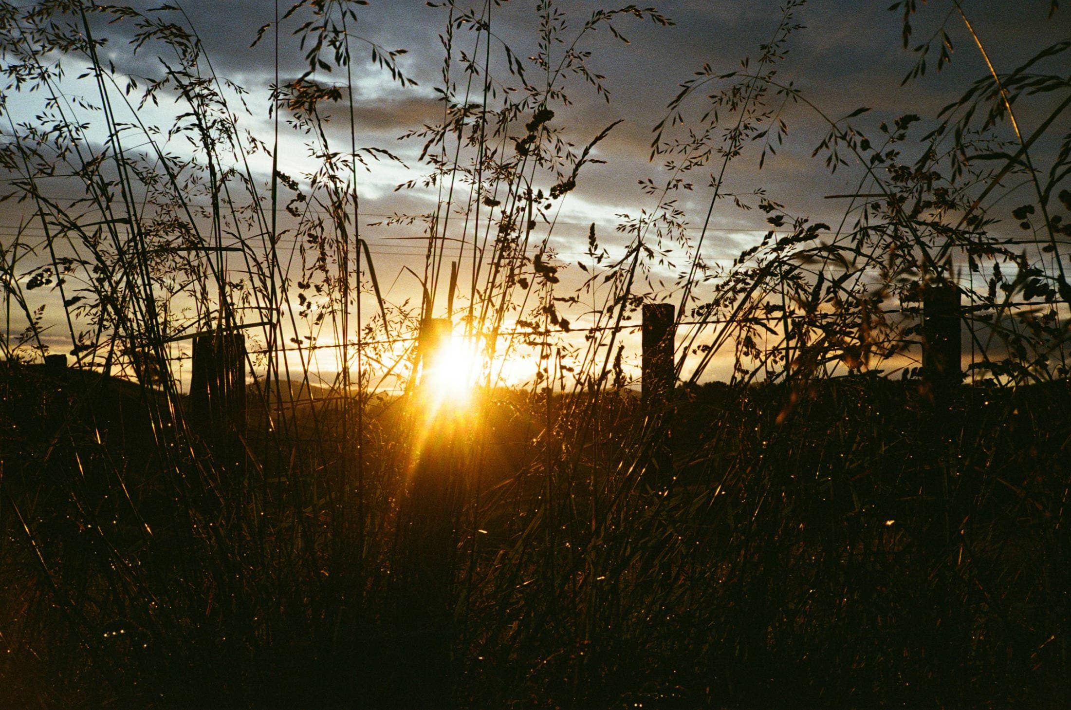 A wide pasture and fence line under a low sun